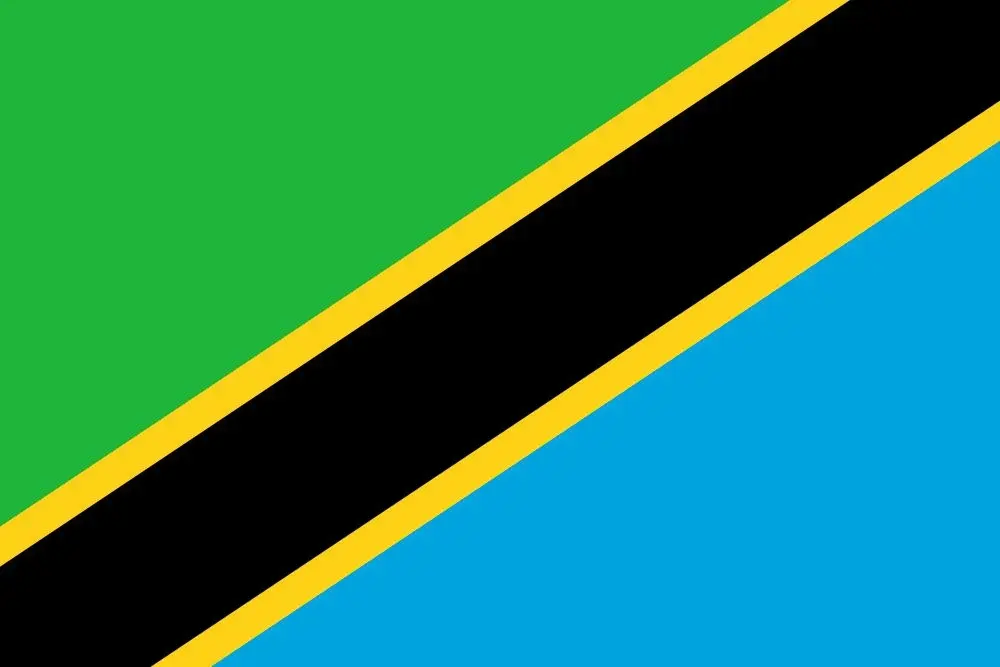Tanzania flag